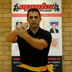 Gow-Choy-Hand-Conditioning