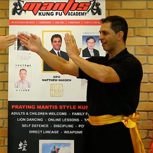 Qigong-Bin-Sou-Hand-Conditioning-1