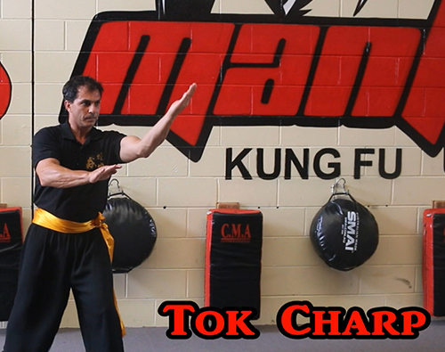 TOK-CHARP