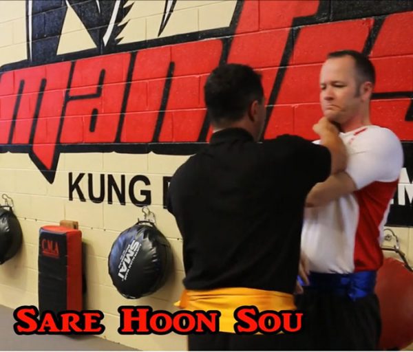 sare-hoon-sou