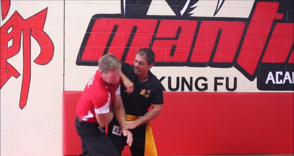 Mantis Kung Fu