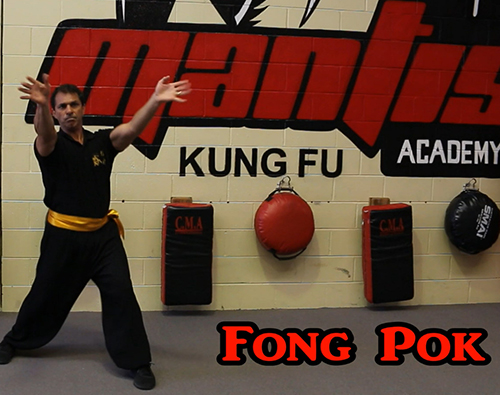FONG-POK