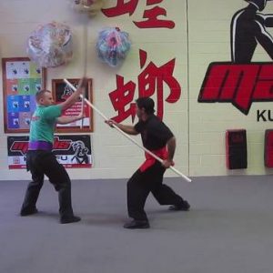 Mantis Kung Fu