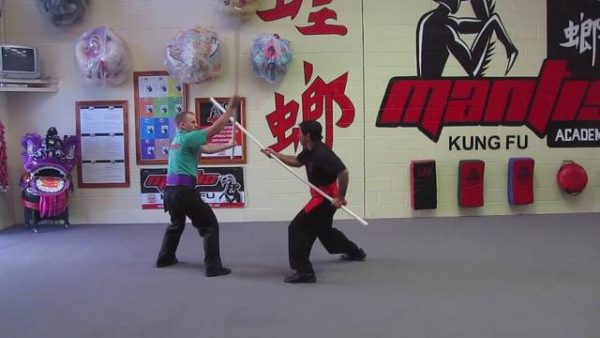 Mantis Kung Fu