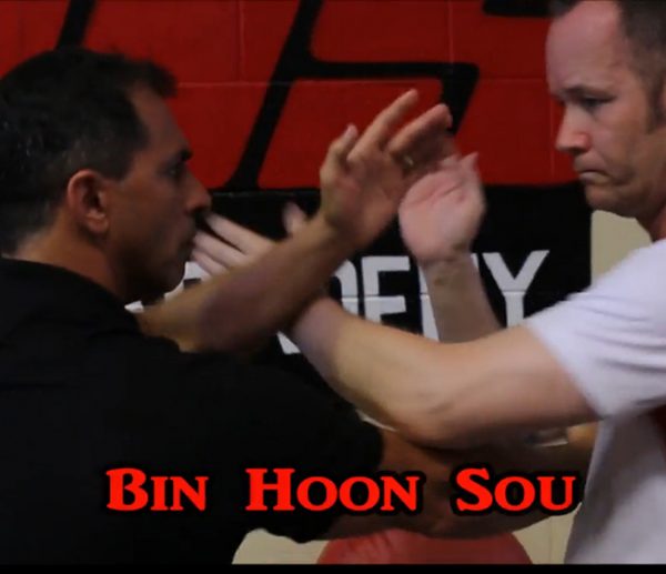bin-hoon-sou